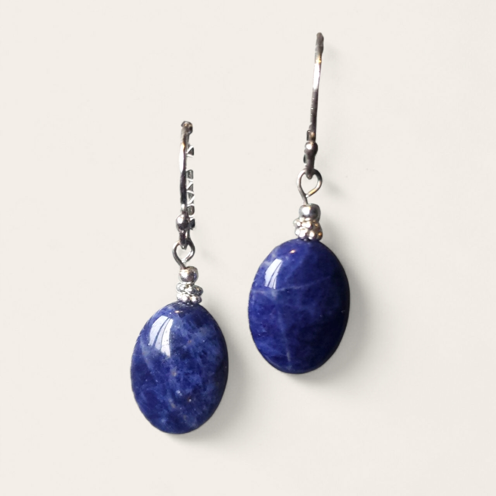 Elegant Blue Stone Drop Earrings